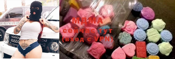 стаф Осинники