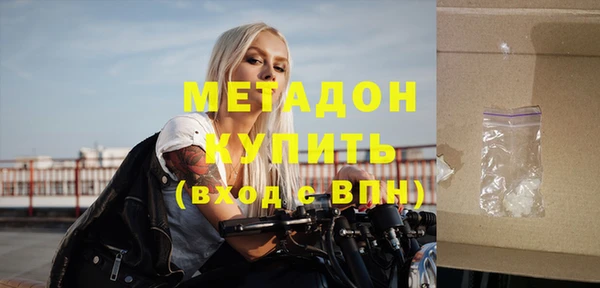 прущие грибы Новозыбков