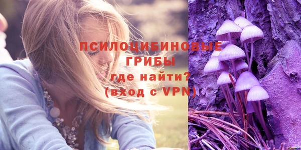 синтетический гашиш Нязепетровск