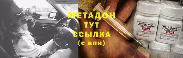 прущие грибы Новозыбков