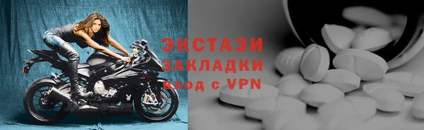 прущие грибы Новозыбков