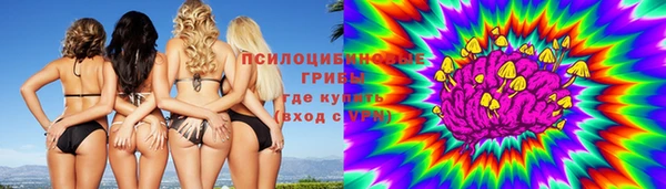 стаф Осинники
