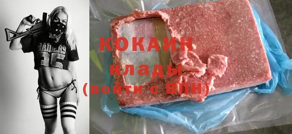 стаф Осинники