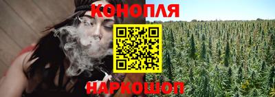 кокс Донской