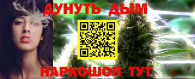 кокс Донской