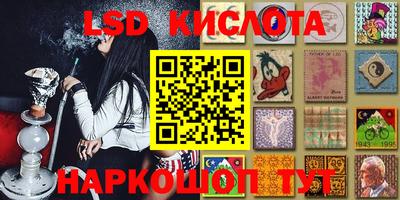 кокс Донской