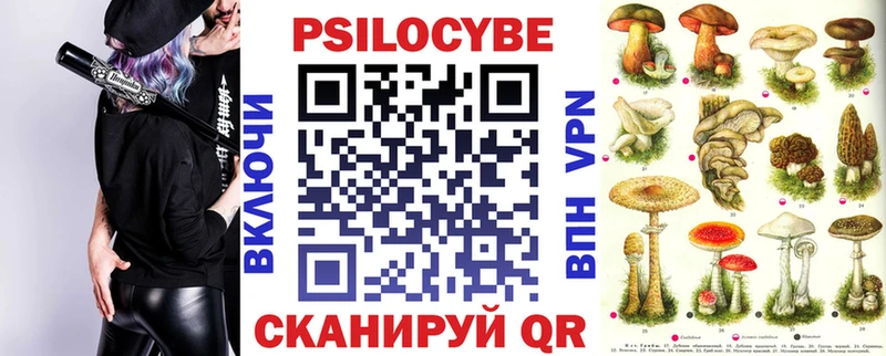 где продают наркотики  МЕГА рабочий сайт  Псилоцибиновые грибы Psilocybine cubensis  Моздок 