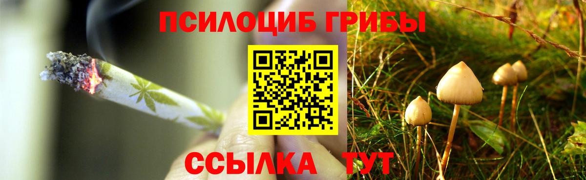 Галлюциногенные грибы Psilocybine cubensis  Псилоцибиновые грибы MAGIC MUSHROOMS  Вход с VPN  Моздок 